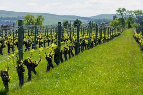 Photo of property in 35 Brighton Street, Island Bay, Wellington, 6023