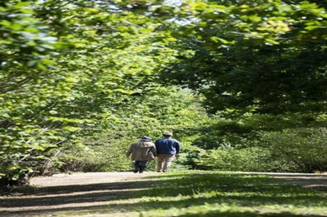 Photo of property in 61 Aroha Road, Te Arai, Wellsford, 0975