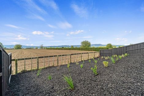 Photo of property in 45 Rangitihi Street, Matamata, 3400