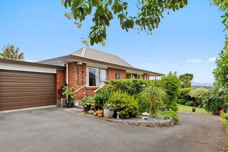 Photo of property in 61a Brookfield Terrace, Brookfield, Tauranga, 3110
