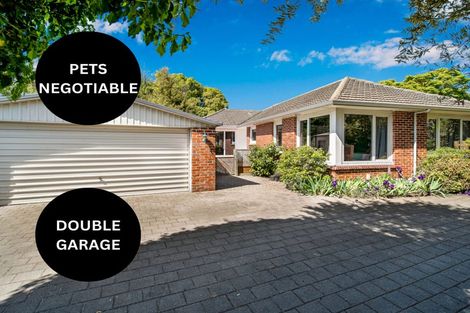 Photo of property in 220 Condell Avenue, Papanui, Christchurch, 8053