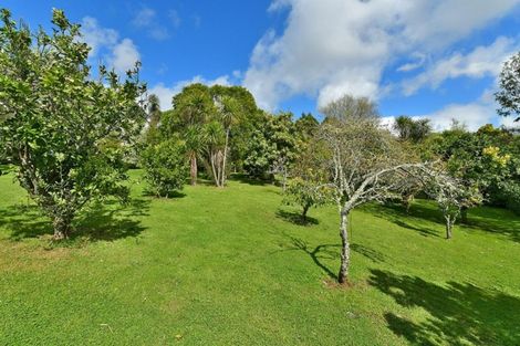 Photo of property in 115 Shelly Beach Road, Shelly Beach, Helensville, 0874