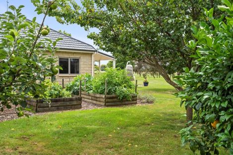 Photo of property in 163 Flume Road, Te Miro, Cambridge, 3496