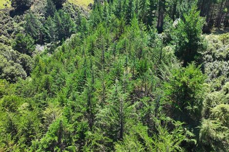 Photo of property in 3244 Ngahape Road, Stronvar, Masterton, 5890