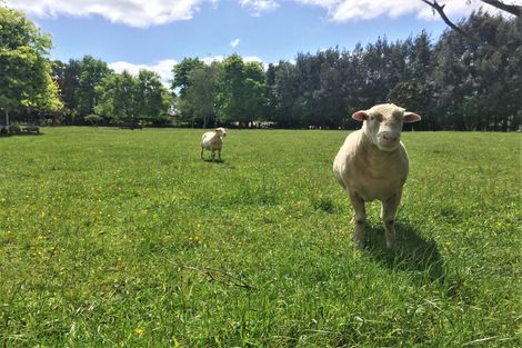 Photo of property in 71 Sandys Road, Waipapa, Kerikeri, 0295