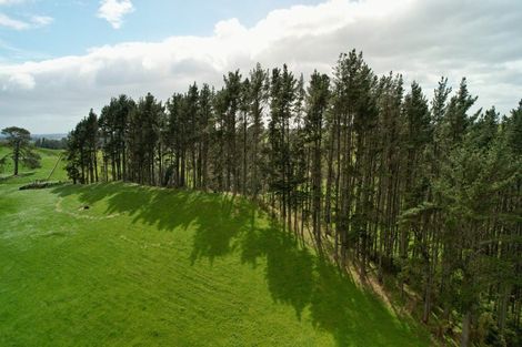 Photo of property in 717 Wright Road, Aongatete, 3181