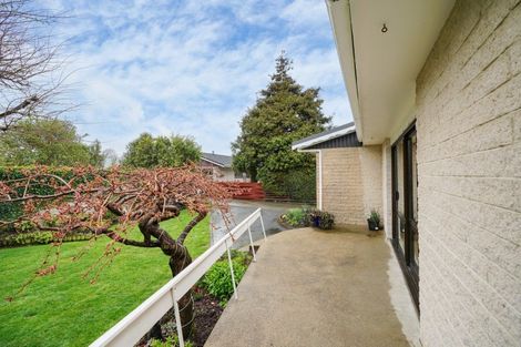 Photo of property in 21 Lewis Street, Gladstone, Invercargill, 9810