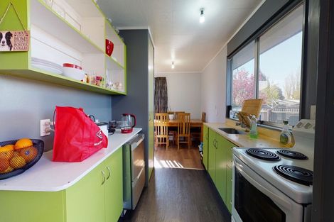 Photo of property in 47 Normanby Street, Rakaia, 7710