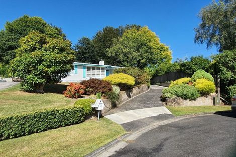 Photo of property in 14 Norrie Place, Putaruru, 3411