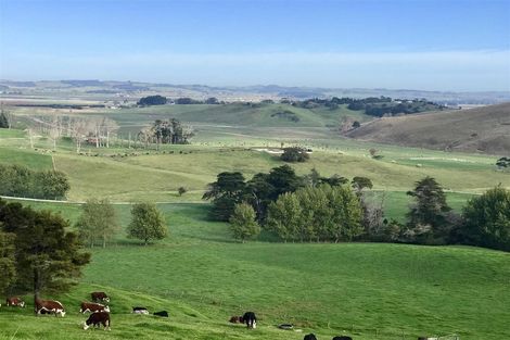 Photo of property in 182 Morrison Road, Arapohue, Dargaville, 0374