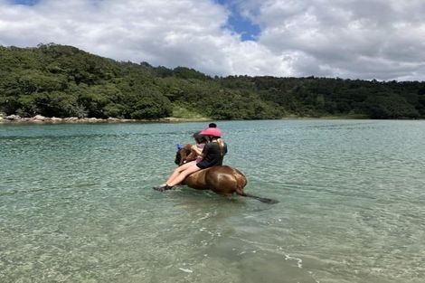 Photo of property in 387 Wentworth Valley Road, Whangamata, 3691