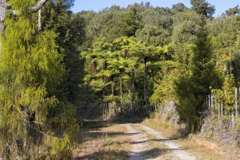 Photo of property in 1046 Work Road, Whakamarama, 3181