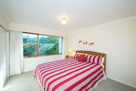 Photo of property in 193 The Terrace, Ashhurst, 4810