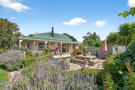 Photo of property in 41 Oxford Street, Martinborough, 5711