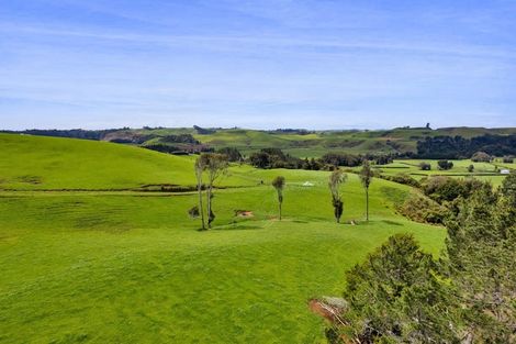 Photo of property in 19 Roddy Road, Everett Park, New Plymouth, 4373