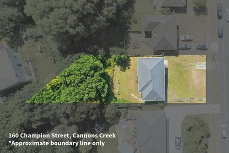 Photo of property in 160 Champion Street, Cannons Creek, Porirua, 5024
