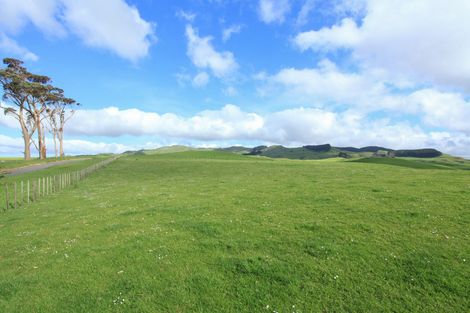 Photo of property in 30 Van Houtte Road, Raglan, 3295