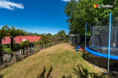 Photo of property in 66 Manchester Street, Bradford, Dunedin, 9011