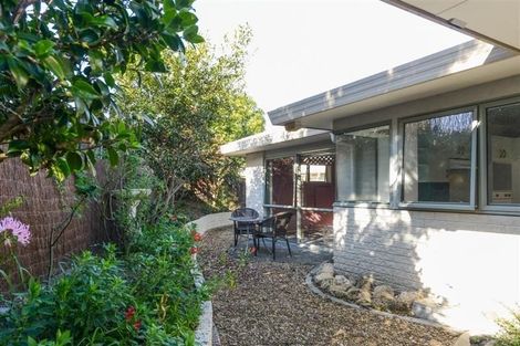 Photo of property in 1/217 Mcleod Street, Camberley, Hastings, 4120