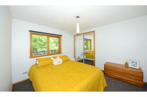 Photo of property in 13 Wallace Street, Bryndwr, Christchurch, 8053