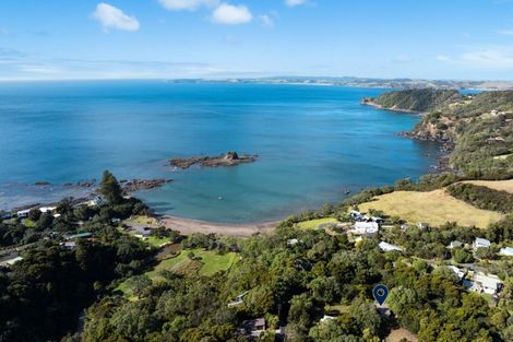 Photo of property in 25 Matheson Bay Road, Leigh, 0985