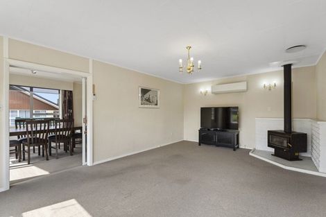 Photo of property in 35 Leefield Street, Blenheim, 7201