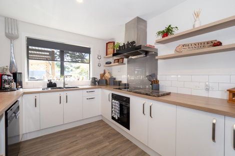 Photo of property in 20a David Street, Hinds, Ashburton, 7773