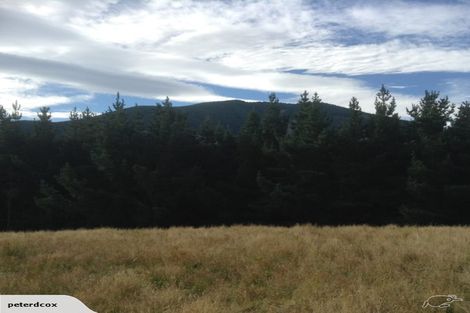 Photo of property in 524 Hayland Road, Okuku, 7473