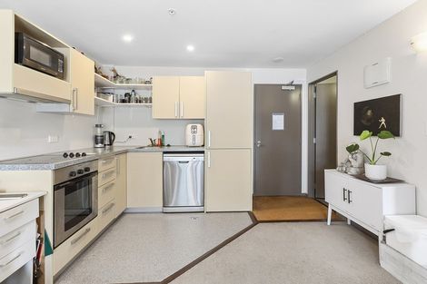 Photo of property in Dual Apartments, 306/142 Vivian Street, Te Aro, Wellington, 6011