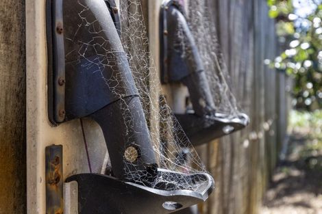 Photo of property in 2 Kanawa Street, Waikanae, 5036