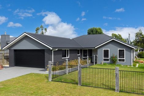 Photo of property in 34 Grigg Drive, Witherlea, Blenheim, 7201