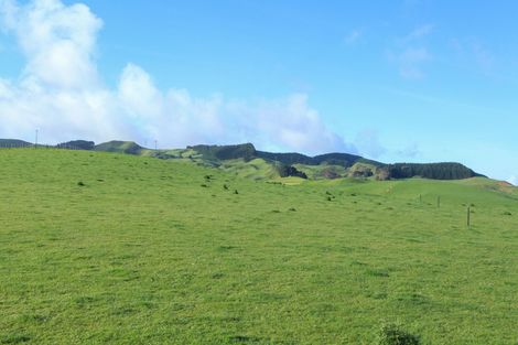 Photo of property in 30 Van Houtte Road, Raglan, 3295