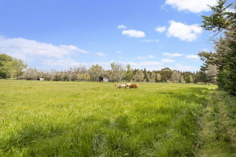 Photo of property in 141 Park Estate Road, Rosehill, Papakura, 2113