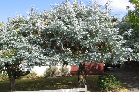 Photo of property in 19 Japonica Drive, Beach Haven, Auckland, 0626