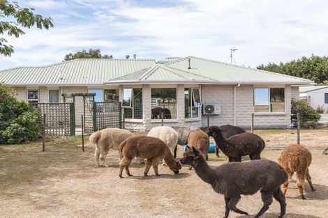 Photo of property in 126 Paierau Road, Opaki, Masterton, 5881