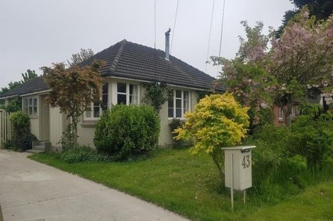 Photo of property in 43 Joy Street, Shirley, Christchurch, 8061
