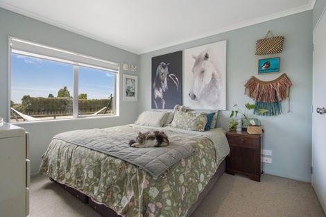 Photo of property in 126 Willoughby Road, Tahawai, Katikati, 3170