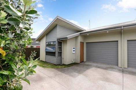 Photo of property in 185b Knighton Road, Hillcrest, Hamilton, 3216