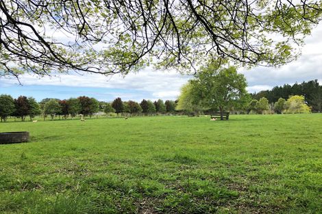 Photo of property in 71 Sandys Road, Waipapa, Kerikeri, 0295