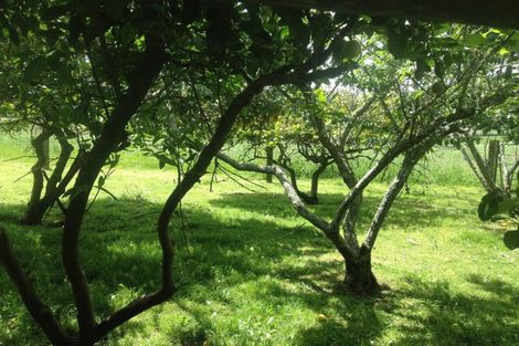 Photo of property in 124 Pukekapia Road, Rotongaro, Huntly, 3772