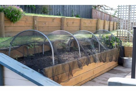 Photo of property in 20 Friesian Place, Grandview Heights, Hamilton, 3200