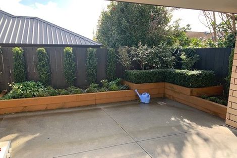 Photo of property in 60c Macfarlane Street, Hamilton East, Hamilton, 3216