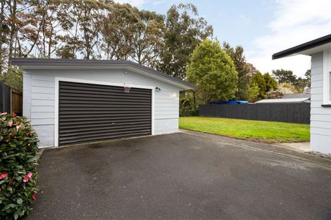 Photo of property in 23 Fitzroy Avenue, Fitzroy, Hamilton, 3206