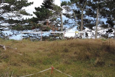 Photo of property in 225 Te Akau Road, Waingaro, Ngaruawahia, 3793