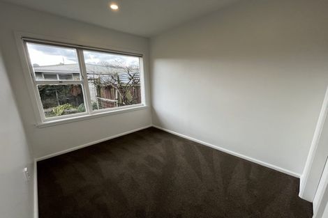 Photo of property in 127 Milton Street, Somerfield, Christchurch, 8024