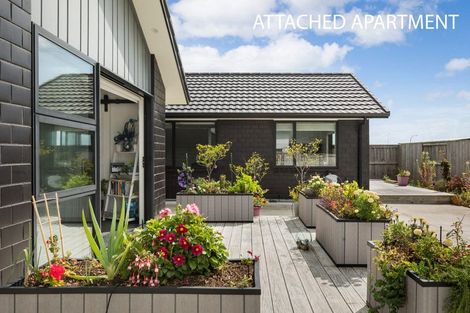 Photo of property in 8 Waimarie Way, Thames, 3500