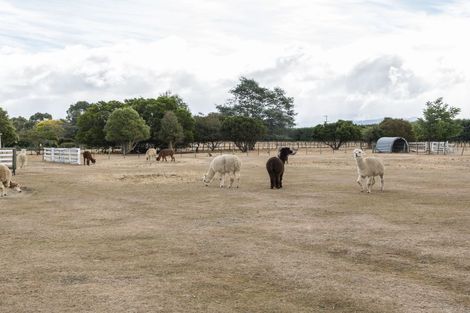 Photo of property in 126 Paierau Road, Opaki, Masterton, 5881