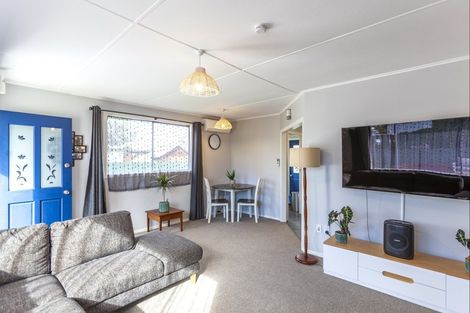 Photo of property in 1029b Konini Street, Mahora, Hastings, 4120