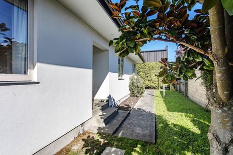 Photo of property in 113c Somerfield Street, Somerfield, Christchurch, 8024