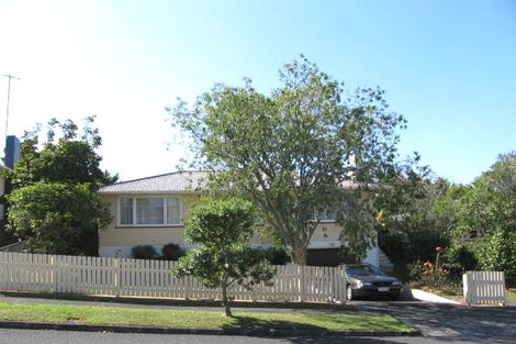 Photo of property in 22 Cutler Street, New Lynn, Auckland, 0600